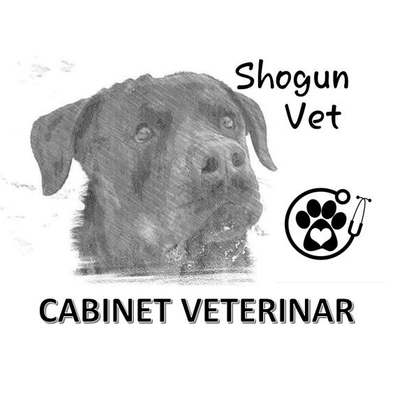 Shogun Vet - Cabinet veterinar